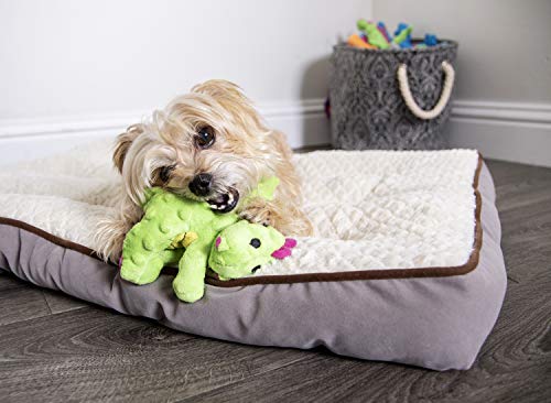 goDog Bubble Plush Dragons Squeaky Dog Toy, Chew Guard Technology - Bright Green, Small - color: Bright Green, size: Small