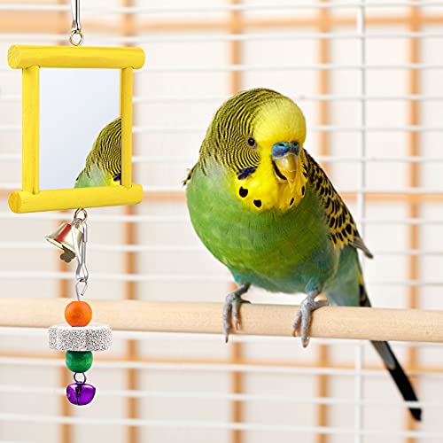Sumind 2 Pcs Chicken Mirror Toys, Rose Red,Yellow, 3.94 x 3.94 Inches - color: Rose Red,Yellow, size: 3.94 x 3.94 Inches