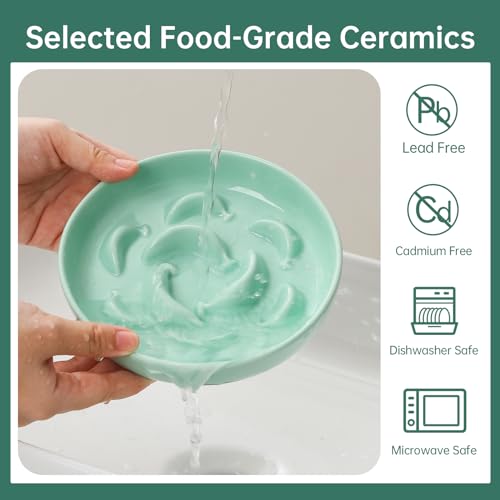2 Pack Ceramic Cat Slow Feeder Bowl Set, 6.3" Wide, Slow Eating 5X - color: White and Green