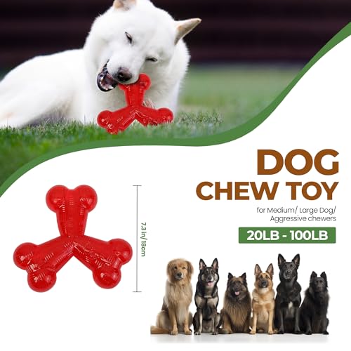 SPOT Play Strong Trident Bone - Durable TPR Long Lasting Dog Chew for Aggressive Chewers, Hole for Treats, Virtually Indestructible Toy for Large Dogs & Puppies up to 90lbs - 6 inch - style: Trident Bone