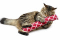 15” Cat Kicker Catnip Toy - Plush Kick Stick for Indoor Cats and Kittens - Handmade in USA Large Heavy Duty – with 1 oz Canadian Catnip – Rose Red - color: Rose Red