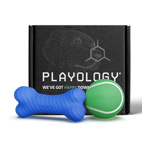 Playology Fun Fetch and Chew Dog Toy Box- Medium, Hot Dog/Watermelon Scents - size: Medium