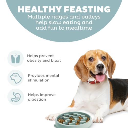 Outward Hound Fun Feeder Slo Bowl Dog Slow Feeder, Notch, Sage, 9.1", Medium (Pack of 12) - color: Sage, size: Medium (Pack of 12)