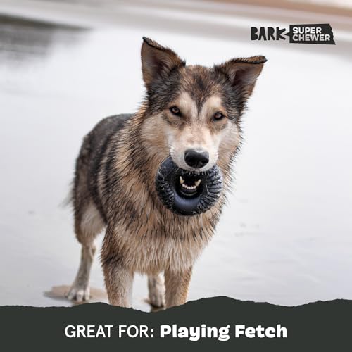 BarkBox Radius Super Chewer - Toy for Large Dogs - color: Radius, size: Medium/Large