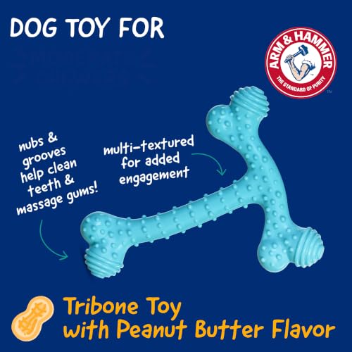 Arm & Hammer Nubbies T-Bone Dental Dog Chew Toy, Peanut Butter Flavor - color: Blue T-Bone, size: 1 Count