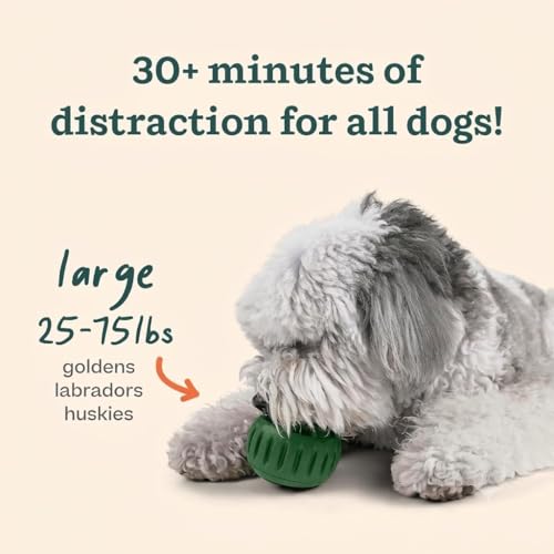 WOOF Starter Pack Dog Treat Toy for Large Dogs 25-75 lbs - size: Large Starter Pack