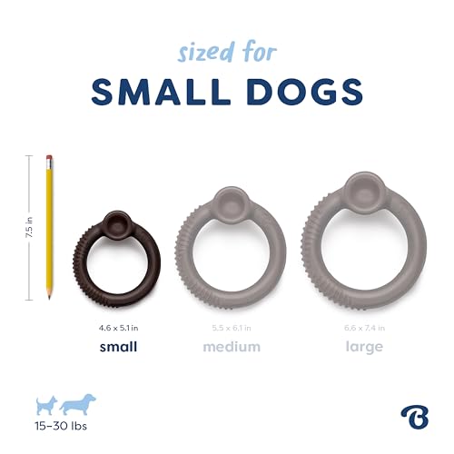 Benebone Ring Dog Chew Toy for Aggressive Chewers, Blueberry, Small - color: REAL Blueberry, size: Small