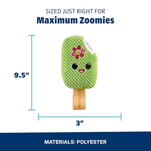 BarkBox BARK Consuela the Cactus Pop - 2-in-1 - Large - color: Consuela Pop