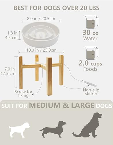 Ceramic Slow Feeder Dog Bowls Elevated, 2.0 Cups Slow Feeder for Medium Dogs, Puzzle Maze Bowl to Slow Down Eating, 30oz, 8in, White - color: White + Stand, size: 8 Inches