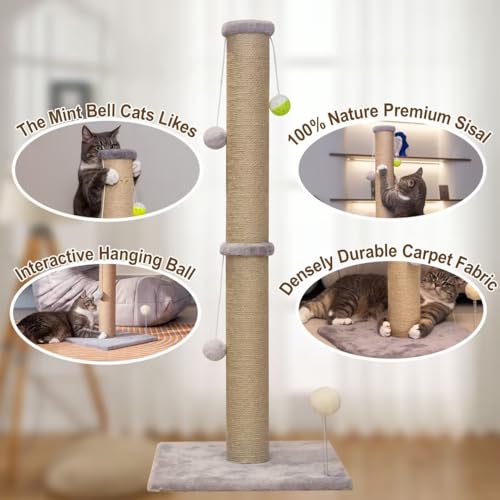36'' Tall Cat Scratching Post for Indoor Cats with Sisal Post & Plush Toys - color: Gray