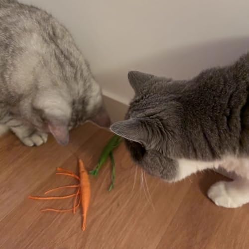 IUHKBH Interactive Cats Toy 3 PCS Shrimp Yarn Chew Toys with Natural Catnip