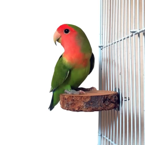 4PCS Natural Wood Bird Perches for Cage, Parrot Cage Perch Stand, Cage Accessories, Wooden Platform for Birds, Toys for Parakeets, Cockatiel, Budgie, Conure - color: 4perches