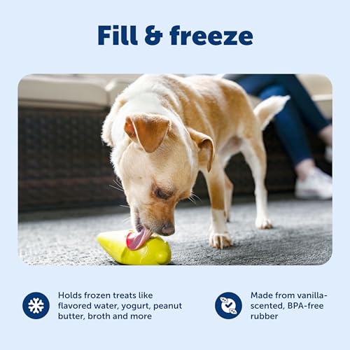 PetSafe Frosty Cone Dog Toys – Fill and Freeze Treat Holding Chew Toy – BPA Free Rubber – French Vanilla Scented – Interactive Pet Puzzle for Boredom or Separation Anxiety - size: Small (Pack of 1), style: Frosty Cone