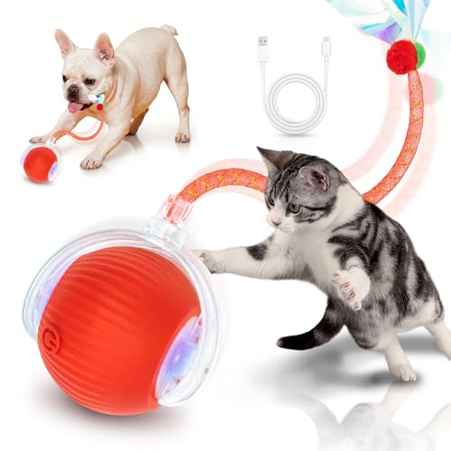 Cat Toys for Indoor Cats Smart Automatic Ball Moving Chase Dogs Toy, Red - color: B1-Red Dragonfly