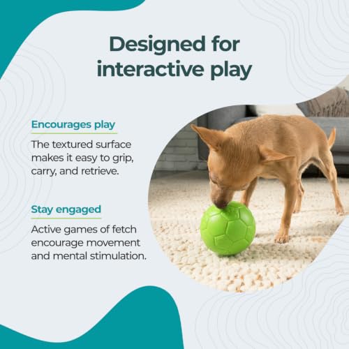 Jolly Pets Mini Soccer Ball Dog Toy, Ocean Blue - Durable, 4" (Pack of 12) - color: Ocean Blue, size: 4" (Pack of 12)