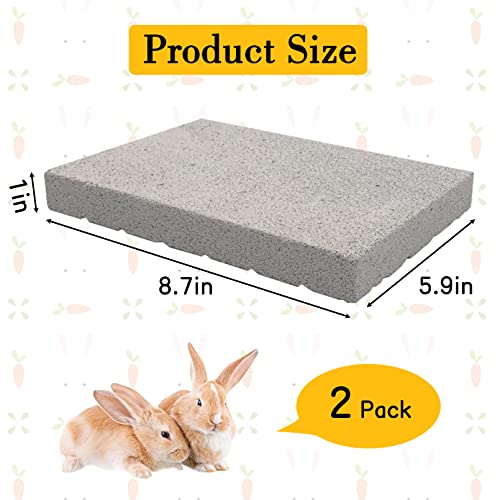 BNOSDM Rabbit Grinding Claw Pads Bunny Scratch Foot Pad 2Pack Natural - color: White 2x Large