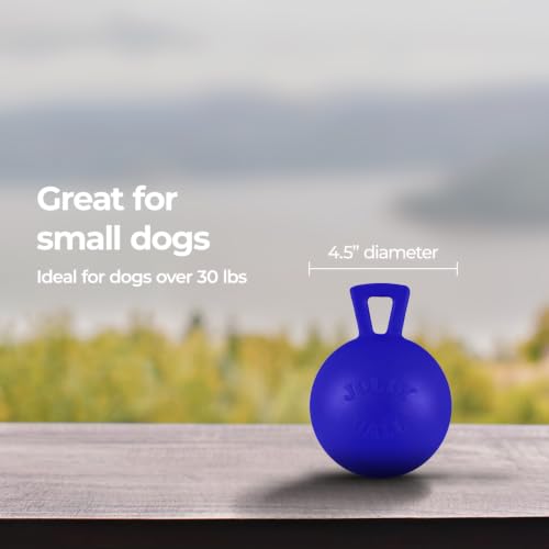 Jolly Pets Tug-n-Toss Heavy Duty Dog Toy Ball with Handle, 4 Inches/Petite, Blue (404 BL),Small Breeds - color: Blue, size: 4 inches/Petite