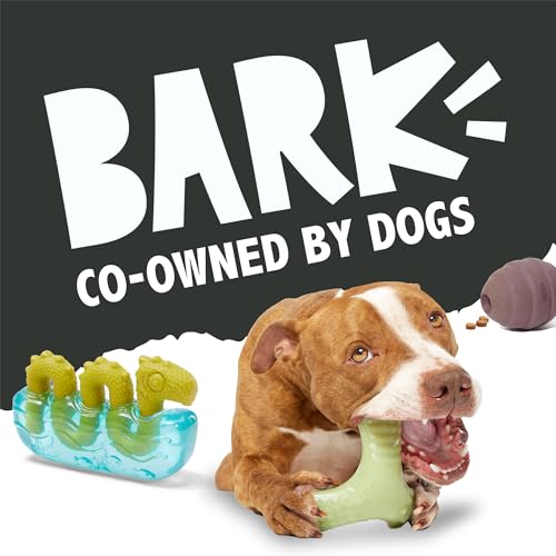 BarkBox Sven the Hedgie Rubber Dog Toy - Toy for Small Dogs - color: Sven the Hedgie - Small