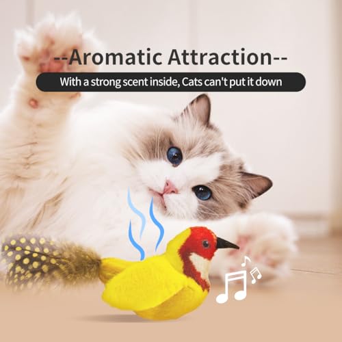 Interactive Cat Toys for Indoor Cats,Catnip and Feather,2Pcs - style: 2 Pack birds