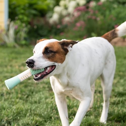 Chew King by Mammoth Dental Dog Toy Collection - Stick Clinically Proven to Remove Plaque