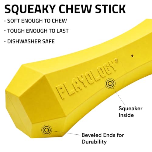 Playology Squeaky Chew Stick - Scented Dog Toy - Medium, Chicken Scent, 2pk - size: Medium (VALUE 2-Pack), style: Chicken