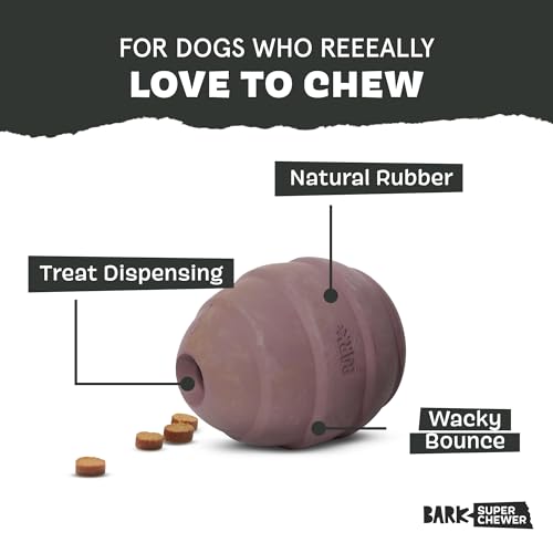 BarkBox Pine Cone Dog Toy - Toy for Large Dogs - color: Pine Cone-Large
