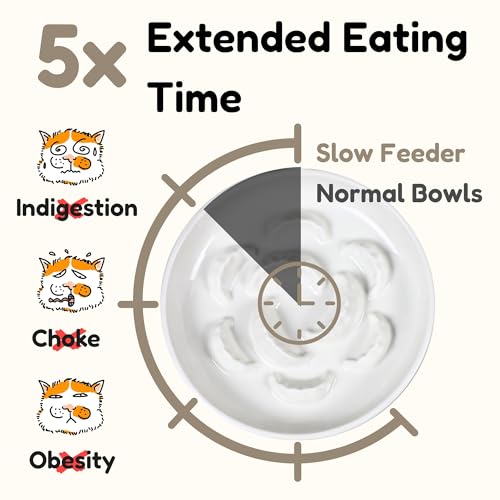 Ceramic Cat Slow Feeder Bowl Set, 2 Pcs Dumpling Shape Cat Food Plates, 6.2" W Wide Shallow Whisker Friendly Slow Feeding Cat Bowls for Dry Food, Wet Food & Treats, Dishwasher Safe, White - color: White + White