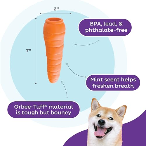 Outward Hound by Planet Dog Foodies Carrot Treat-Dispensing Dog Chew Toy, Orange - color: Carrot