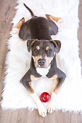Pet Qwerks Blinky Babble Ball - Flashing Interactive Dog Toy - Large - size: Large, style: Blinky Babble
