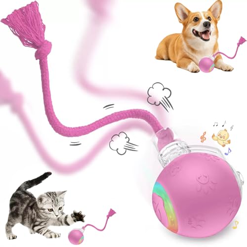 Speed 2.0 Tail Interactive Cat Toys, Rechargeable Ball for Indoor Cats - color: Pink