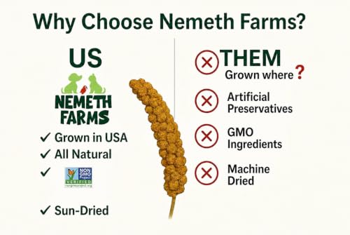 Nemeth Farms Spray Millet - Edible Tops Only, Non-GMO and Sun-Dried - 1 lb for Parakeets, Canaries and Finches - size: 1 Pound (Pack of 1)