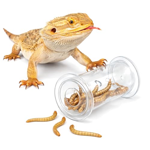 Bearded Dragon Toy - Reptile Enrichment Interactive Feeder Toy