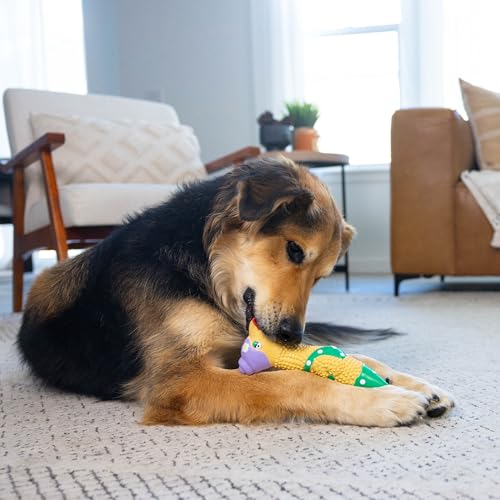 Outward Hound Squawkers Squeaky Latex Dog Toy, Grandma Hippie, 11.3" - color: Grandma Hippie Chick, size: Large