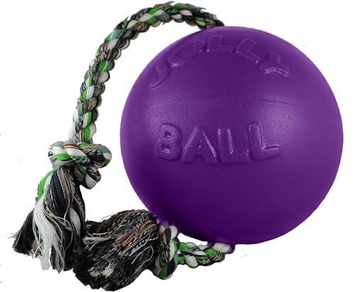 Jolly Pets Romp-N-Roll Rope & Ball Dog Toy, 4.5 in Small, Purple - color: Purple, size: Small (4.5 in)