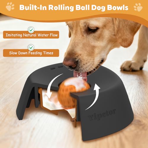 Yipetor Dog Lick Bowl, Rolled Ball-in Slow Feeder Enrichment Puzzle Toys - color: black