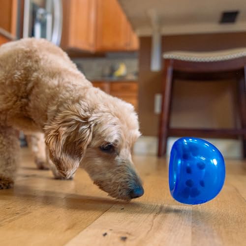 Outward Hound Lil' Snoop Interactive Treat Dispensing Dog Toy, Blue, 3.9" - color: Blue Lil Snoop