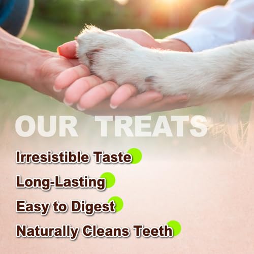 A Freschi srl® All-Natural Turkey Tendon for Dogs, Strips, 10 Count - size: 10 Count (Pack of 1)