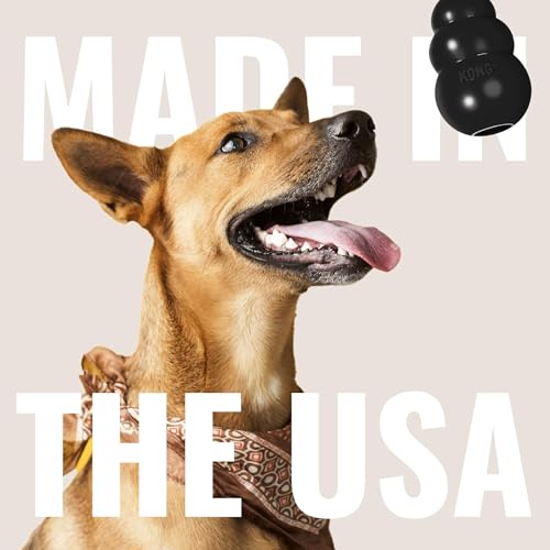KONG Extreme Dog Toy, Natural Rubber Chew, for Small Dogs (Pack of 2) - size: Small(2-Pack)