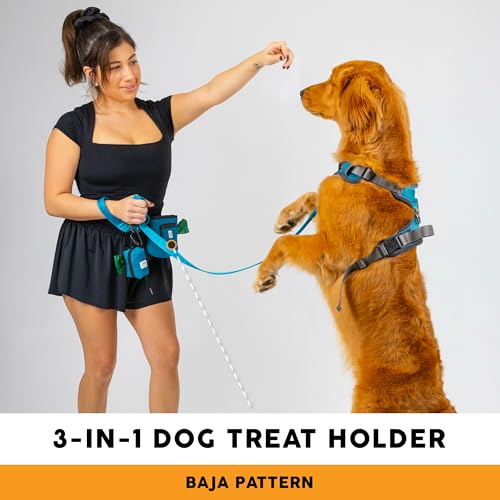 Embark Dog Treat Pouch - Waterproof Training Bag & Portable Water Bowl - color: Teal