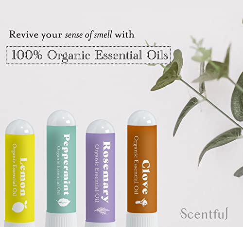 Smell Training Kit, Smell Retraining Therapy, Restore Sense of Smell and Taste, Made in the USA with 4 Organic Essential Oils