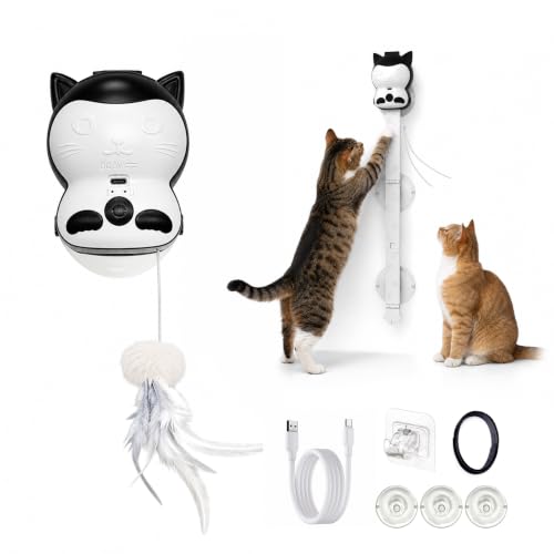 2-in-1 Electric Cat Toy, Automatic Interactive Cat Wand with 2 Play Modes (Track Chase & Bounce), Indoor Exercise Toy for Kittens & Adult Cats