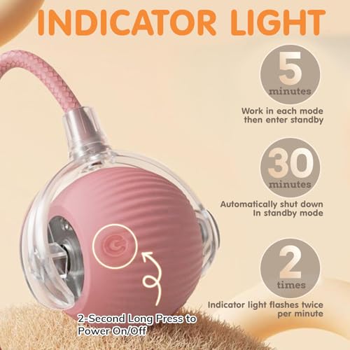 Rocfish Durable Interactive Cat Toys for Indoor Cats (Pink, 01) - color: pink01, size: 01