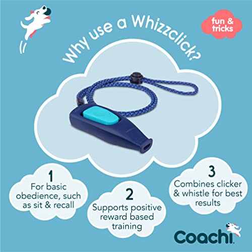 Company of Animals Coachi Whizzclick | Navy/Light Blue Button - color: Navy