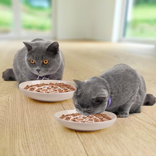 Slow Feeder Cat Bowl Set of 2, Ceramic Slow Feeding Cats Bowl Whisker Friendly, Anti Vomiting Cat Feeder for Dry and Wet Food，Fun Maze Interactive Bloat Stop Puzzle Bowls for Healthy Eating Diet - color: apricot