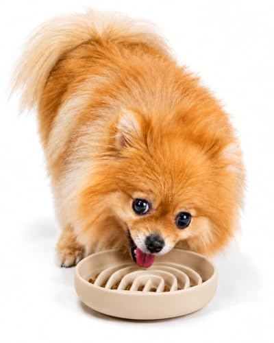 Slow Feeder Dog Bowl - Silicone Dog Bowl, Small, 6" x 1.25" - Tan - color: Tan - Rainbow Design, size: Small (6” Across x 1.25” Tall)