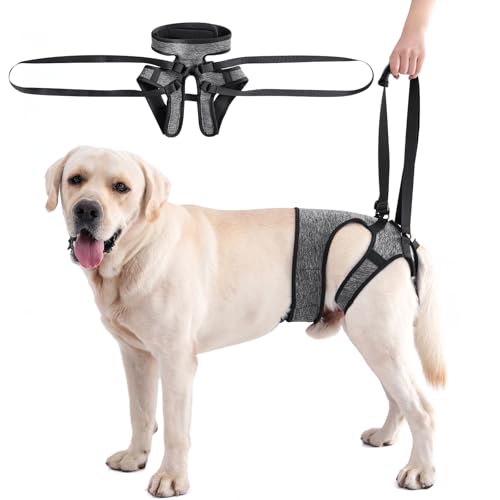LIANZIMAU Dog Sling for Large Dogs Adjustable Hind Leg Support Lift Harness Senior Canine Mobility Aid Carrier for Back Legs Walking Rehabilitation - color: Grey, size: XL（Waist:24"-30")