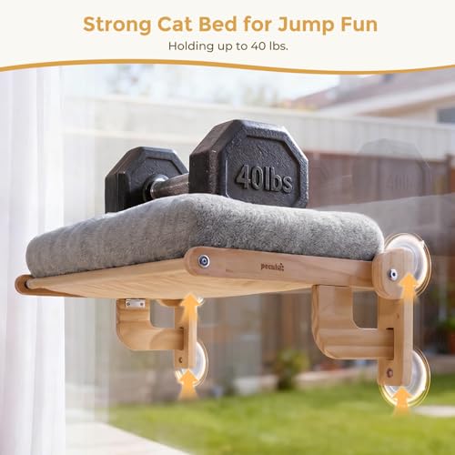 Pecute Cat Window Hammock Foldable, Cat Bed with Soft Cushion Grey, 26" L - color: Grey