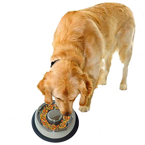 Mr. Peanut's Stainless Steel Interactive Slow Feed Dog Bowl with a Blue Base, Fun Healthy Bloat Stop Feeder (Large) - size: Large