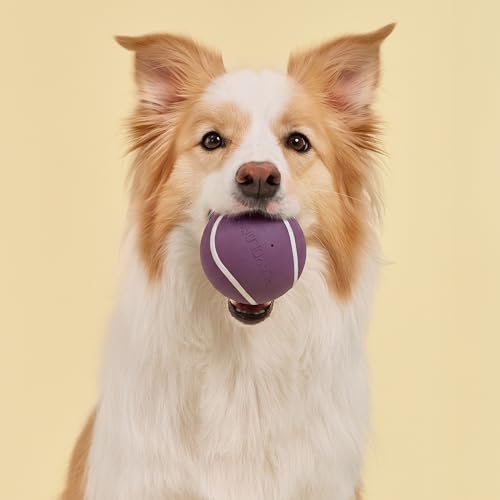 Playology Squeaky Chew Ball Dog Toy - Jumbo, Bacon Scent - size: Jumbo, style: Bacon