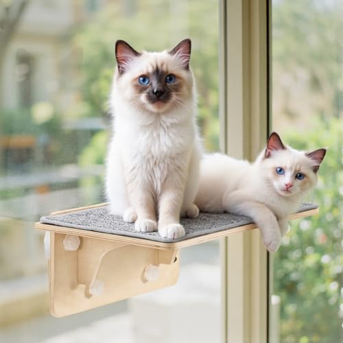 Pecute 2-in-1 Large Cat Window Perch & Wall Shelves, Solid Wood, 21"x11" - size: 21.25"L x 11"W
